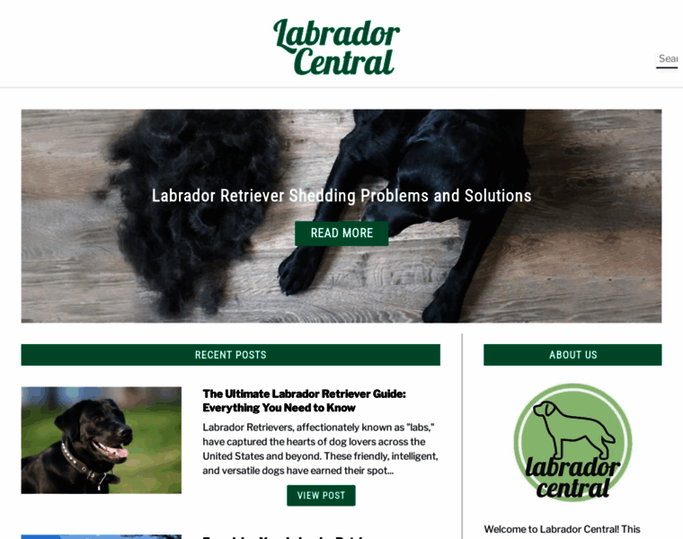 Labrador-central.com thumbnail