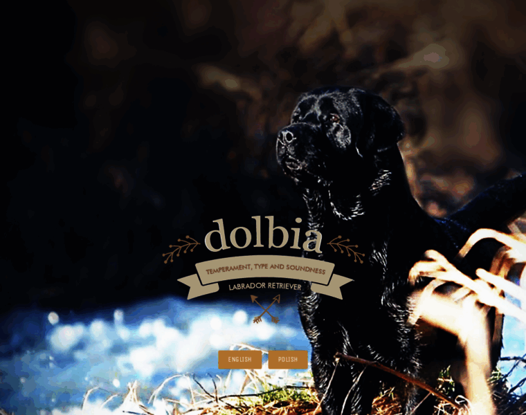 Labrador-dolbia.pl thumbnail