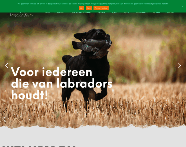 Labradorkring.nl thumbnail