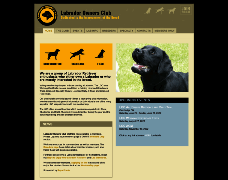 Labradorownersclub.com thumbnail