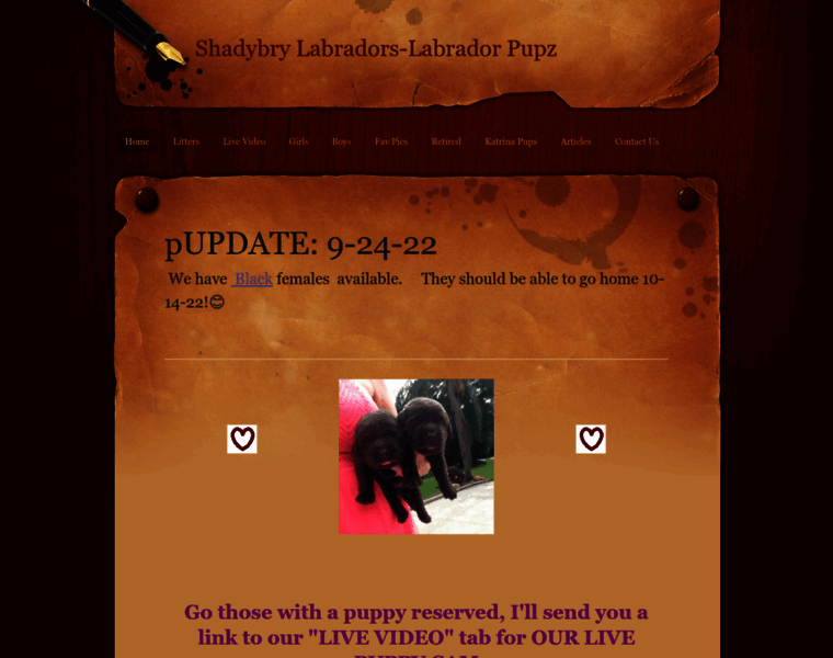 Labradorpupz.com thumbnail