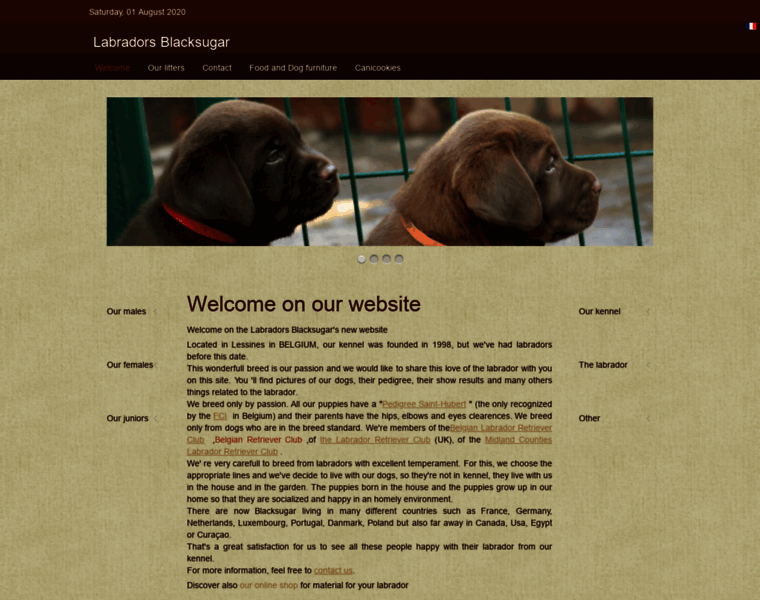 Labradors-blacksugar.com thumbnail