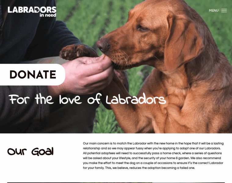 Labradorsinneed.co.uk thumbnail