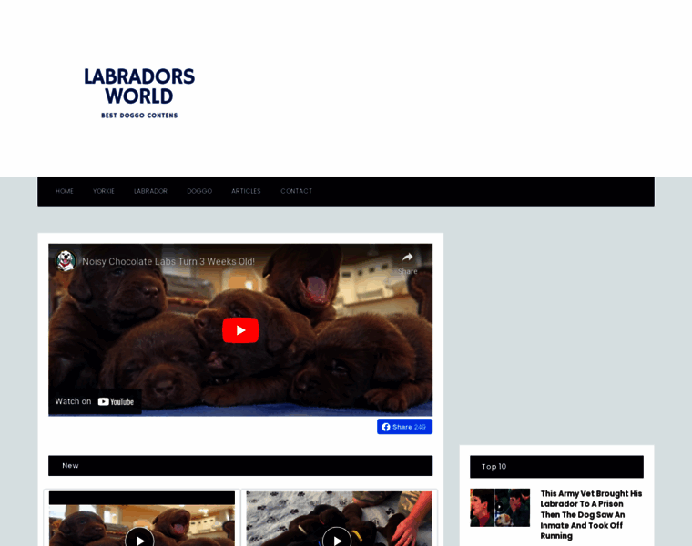 Labradorsworld.com thumbnail