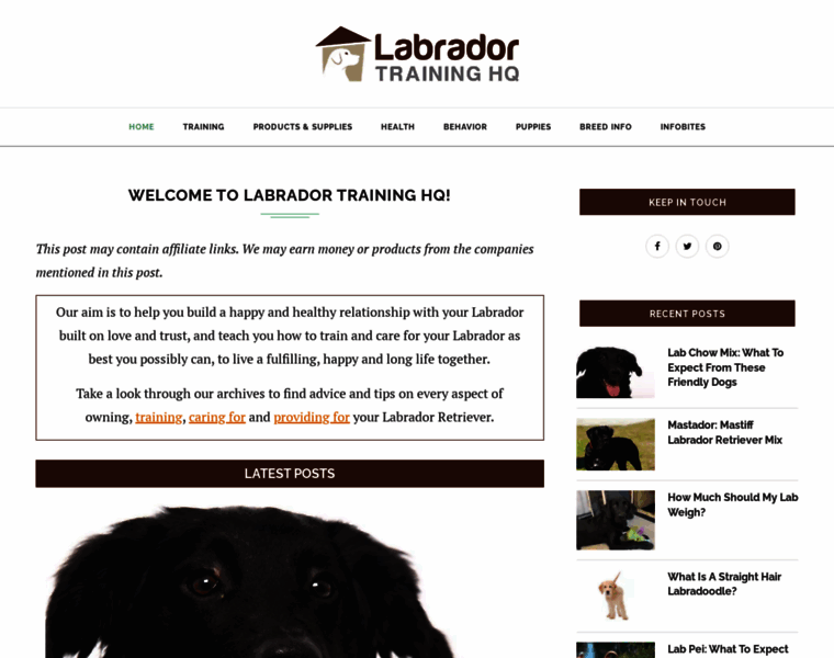Labradortraininghq.com thumbnail