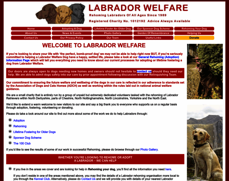 Labradorwelfare.org thumbnail