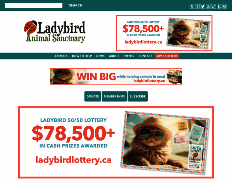 Ladybirdanimalsanctuary.com thumbnail