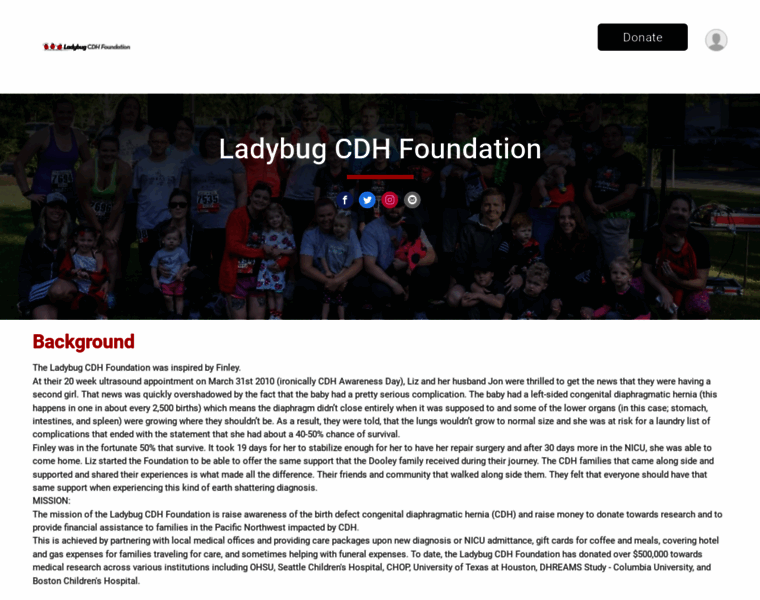 Ladybugcdhfoundation.com thumbnail