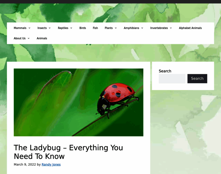 Ladybuglady.com thumbnail