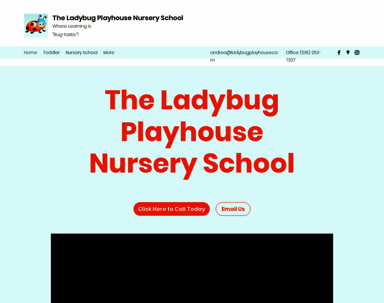 Ladybugplayhouse.com thumbnail