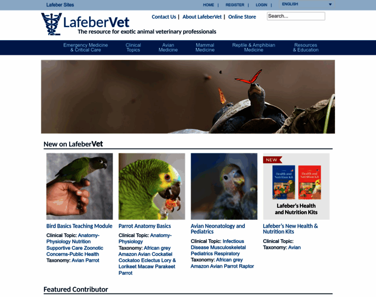 Lafebervet.com thumbnail