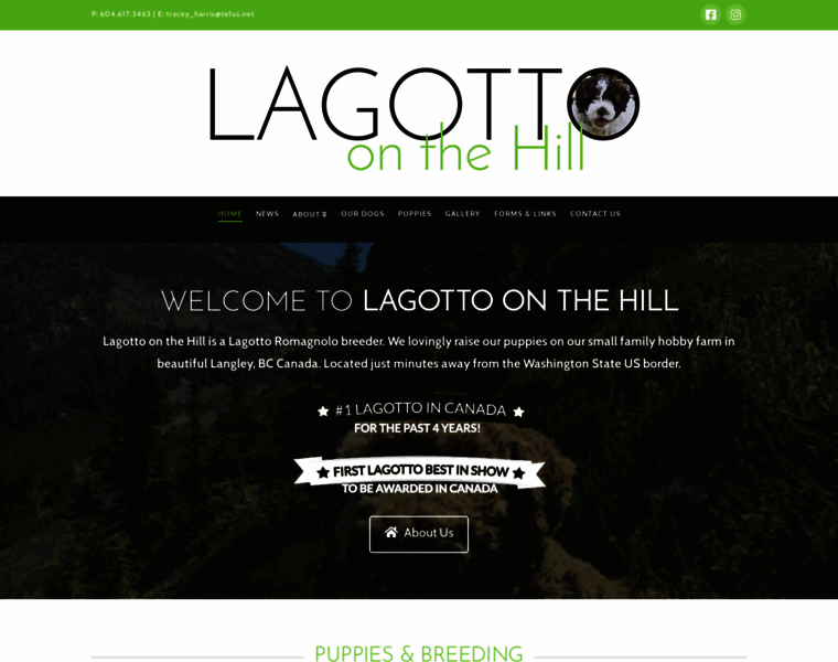 Lagottoonthehill.com thumbnail