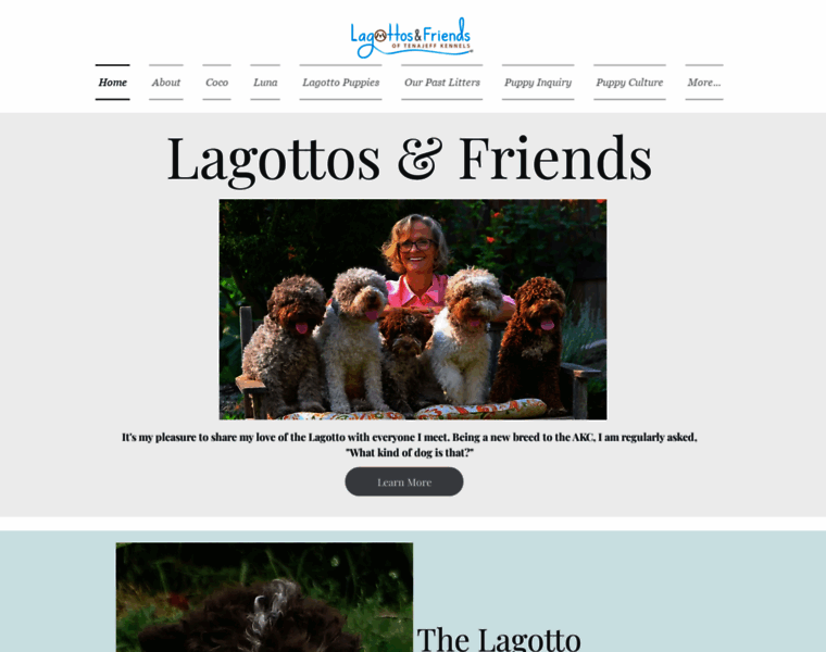 Lagottosandfriends.com thumbnail