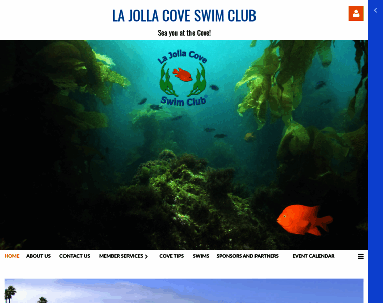 Lajollacoveswimclub.com thumbnail