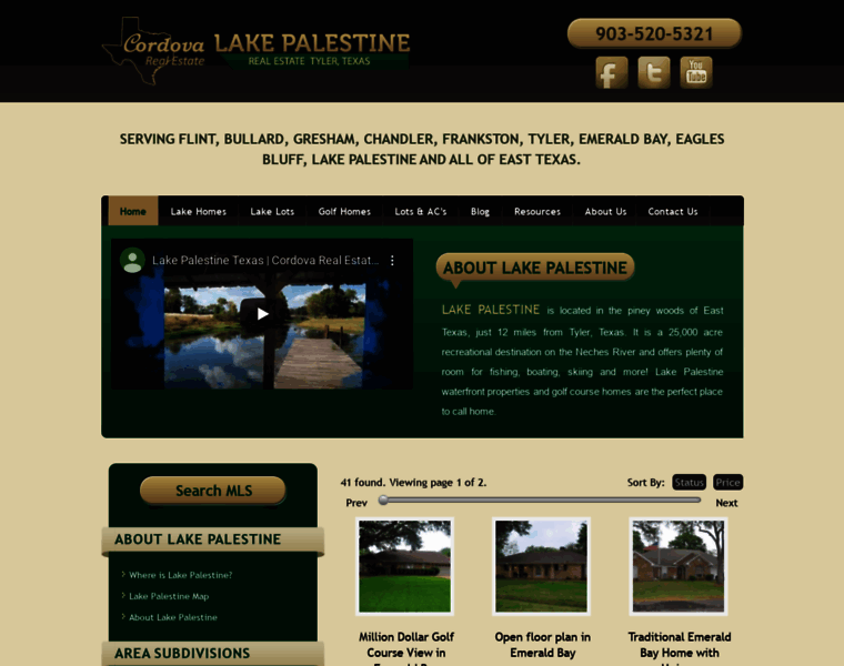 Lakepalestinetx.com thumbnail