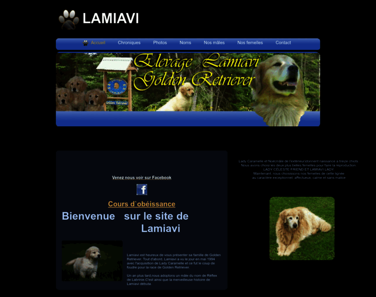 Lamiavi.com thumbnail