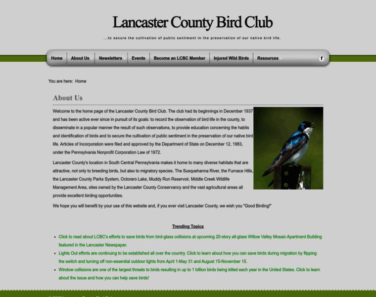 Lancasterbirdclub.org thumbnail