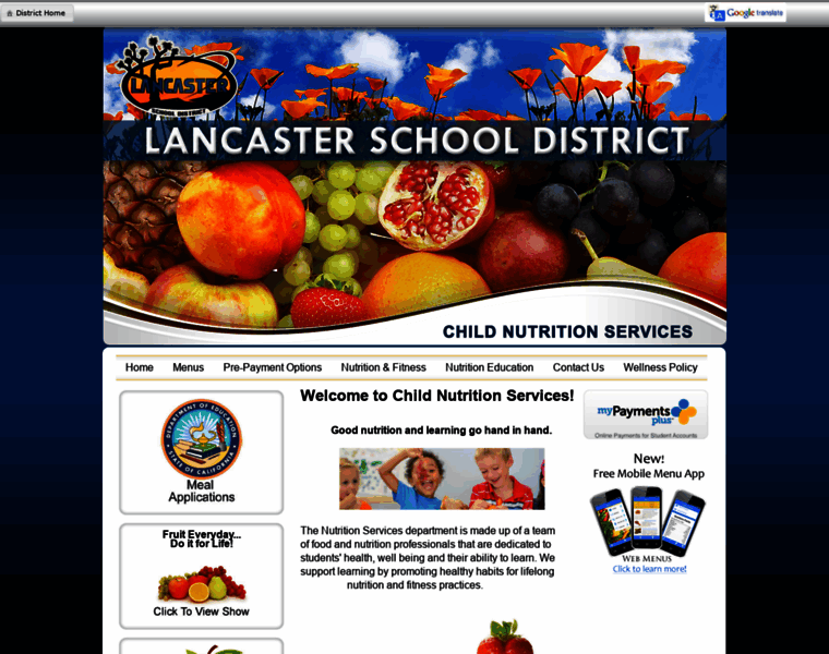 Lancasterchildnutrition.com thumbnail