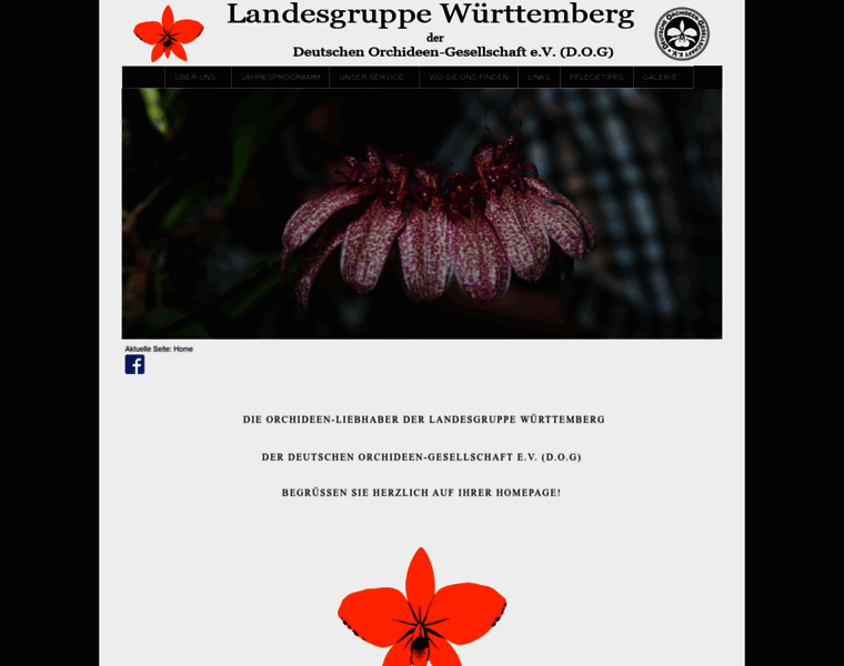 Landesgruppe-wuerttemberg.de thumbnail