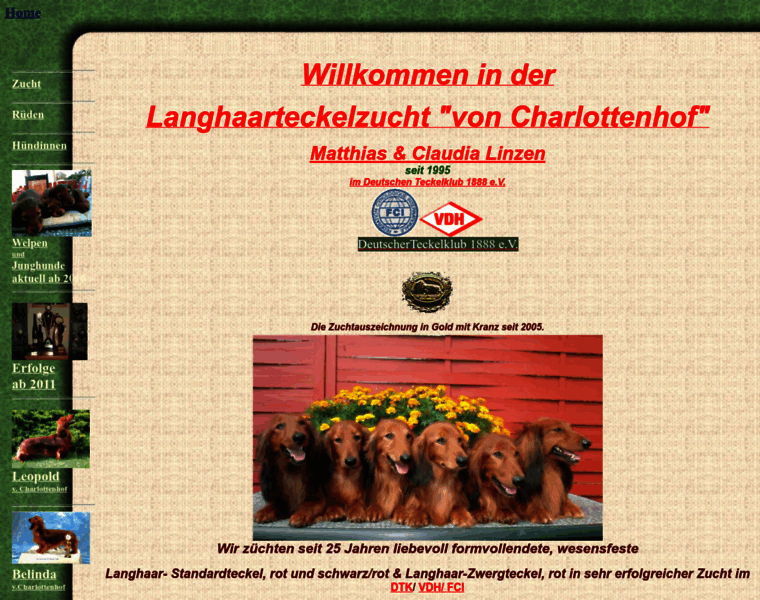 Langhaardackel-von-charlottenhof.de thumbnail