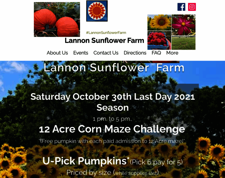 Lannonsunflowerfarm.com thumbnail