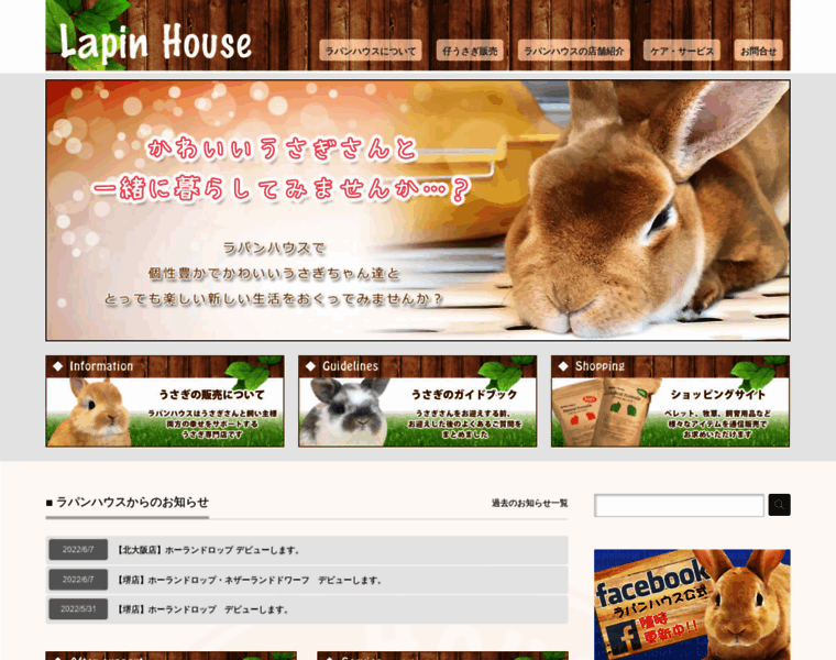 Lapin-house.com thumbnail