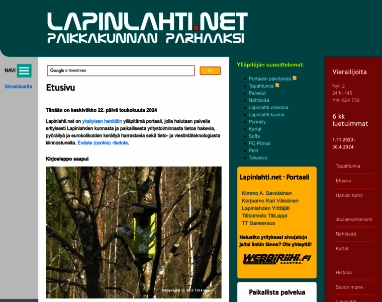 Lapinlahti.net thumbnail