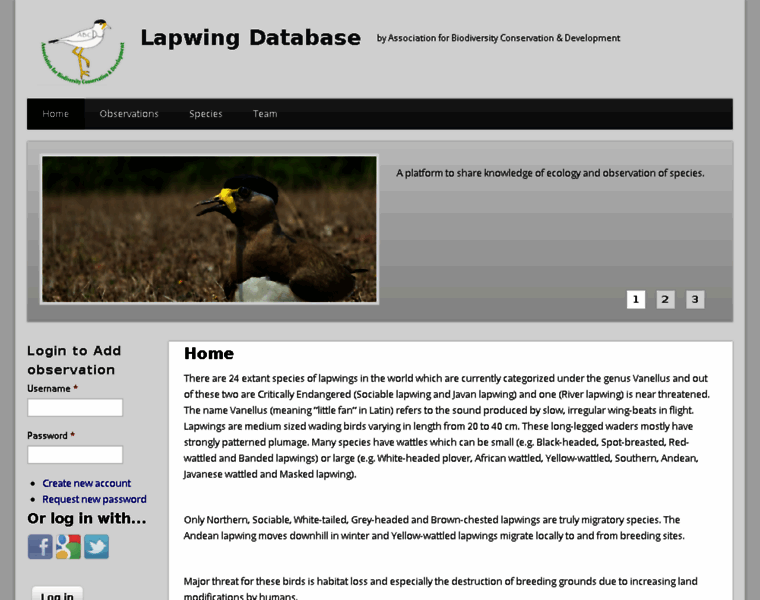 Lapwings.org thumbnail