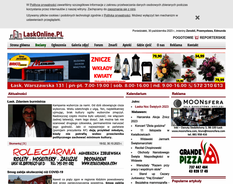 Laskonline.pl thumbnail