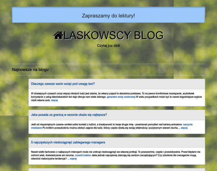 Laskowscydesign.pl thumbnail
