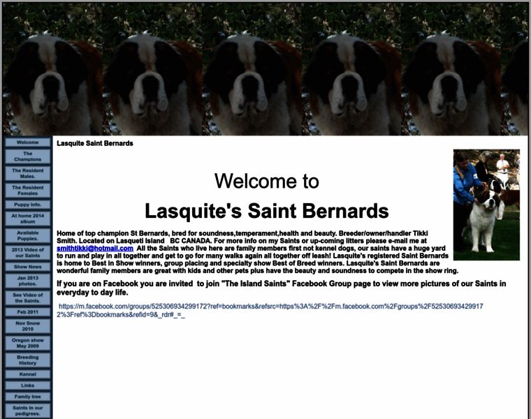 Lasquitesaintbernards.com thumbnail