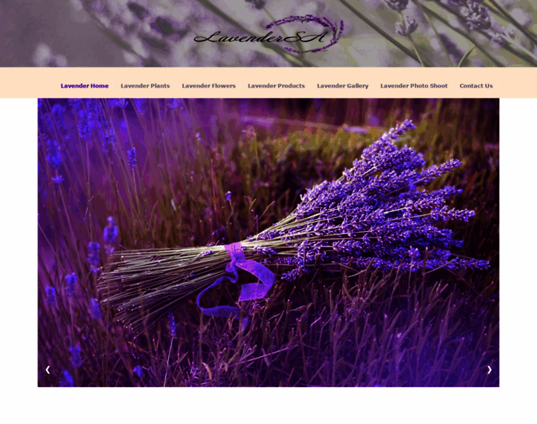 Lavendersa.co.za thumbnail