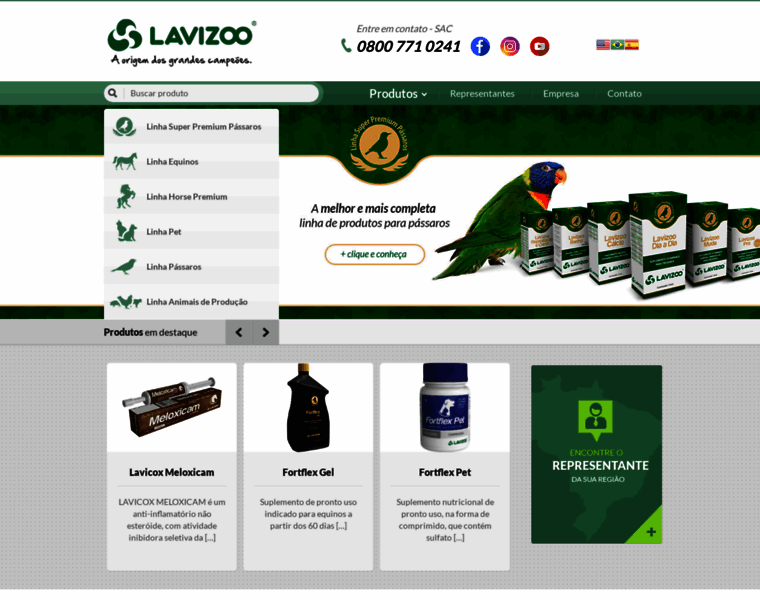 Lavizoo.com.br thumbnail