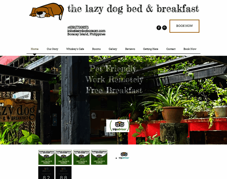 Lazydogboracay.com thumbnail