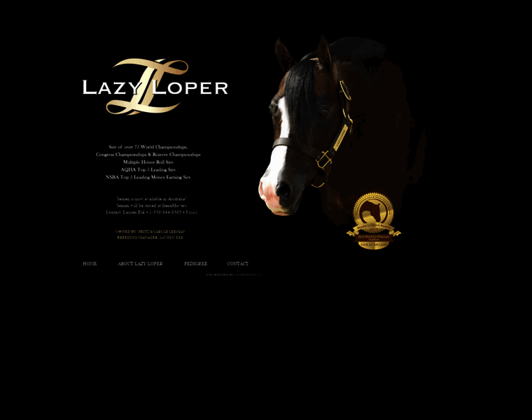 Lazyloper.com thumbnail