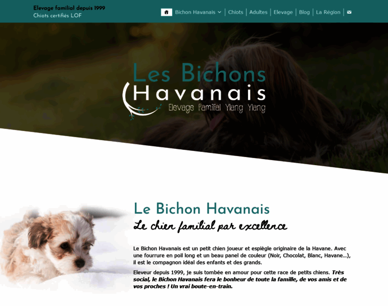 Le-bichon-havanais.fr thumbnail