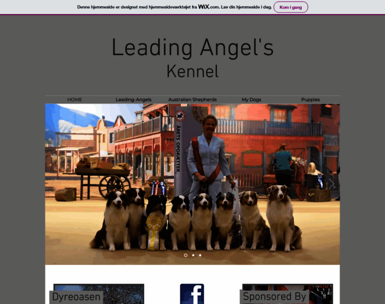 Leading-angels.dk thumbnail