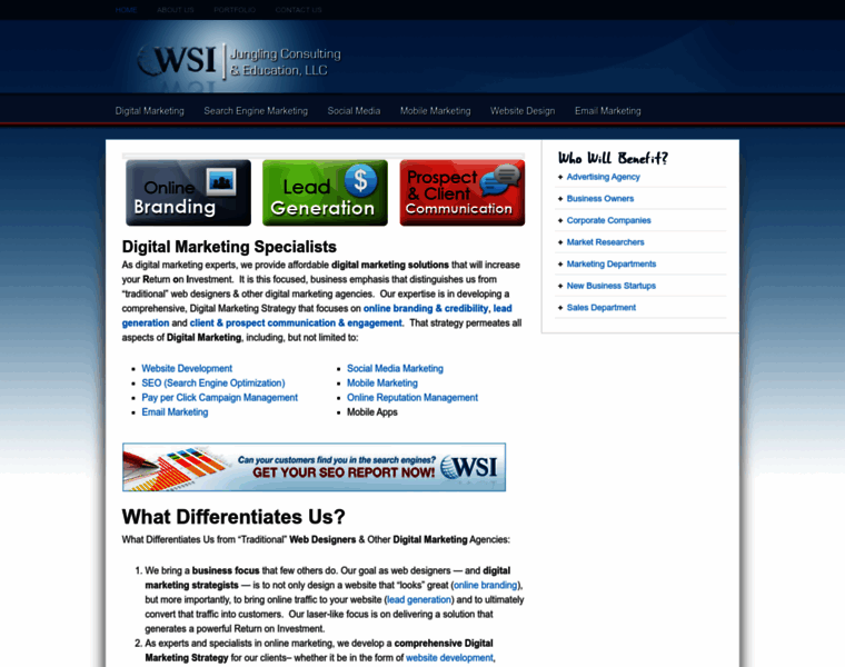Leadingwsiwebsolutions.com thumbnail