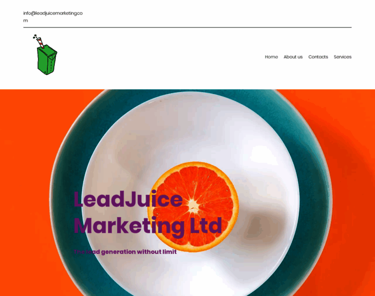 Leadjuicemarketing.com thumbnail