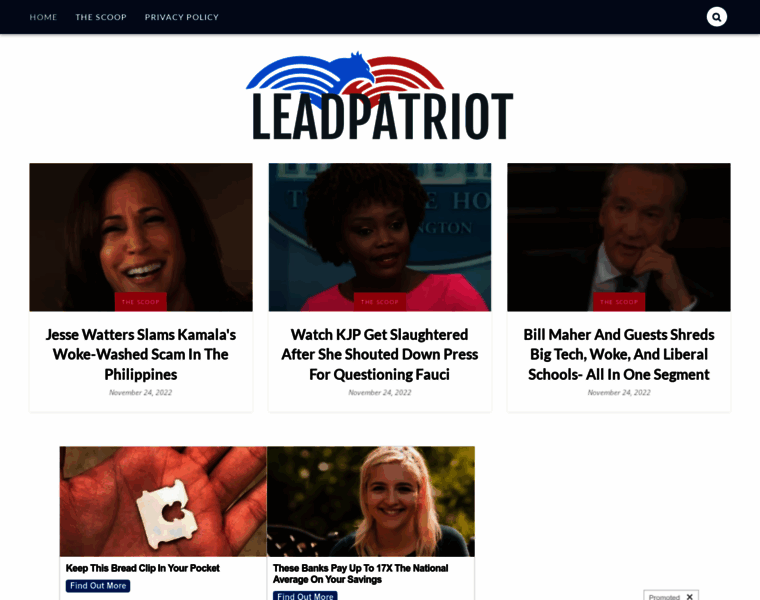 Leadpatriot.com thumbnail