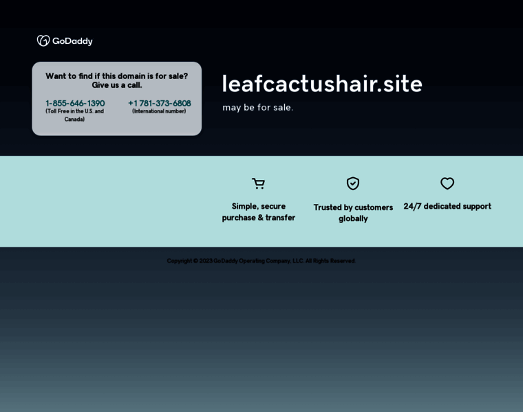 Leafcactushair.site thumbnail
