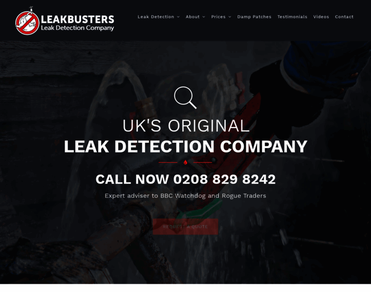 Leakbusters.net thumbnail