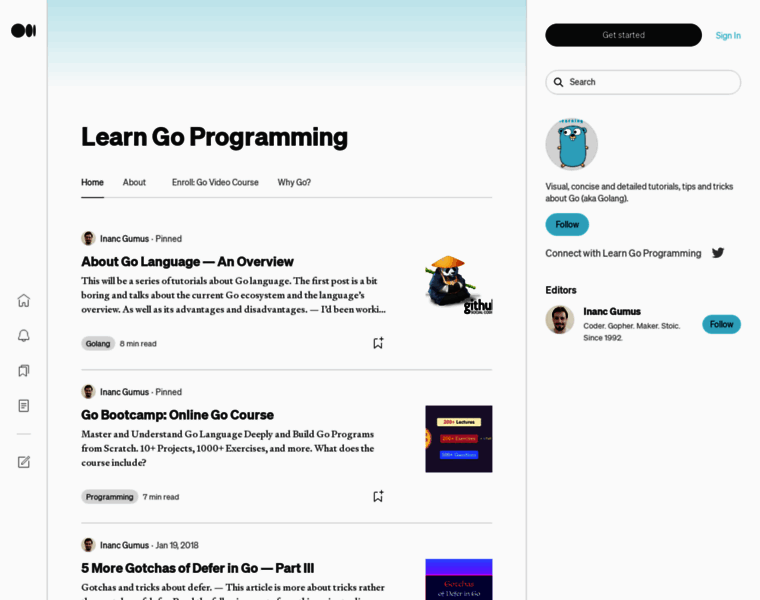 Learngoprogramming.com thumbnail