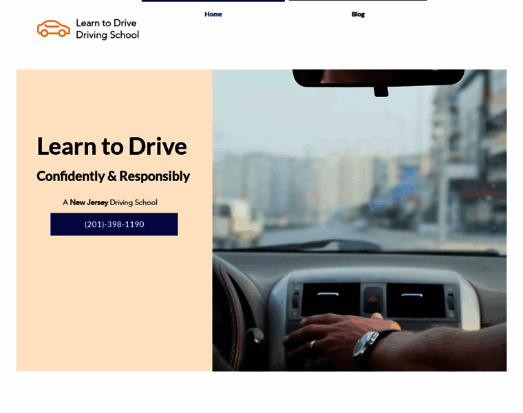 Learntodriveds.com thumbnail