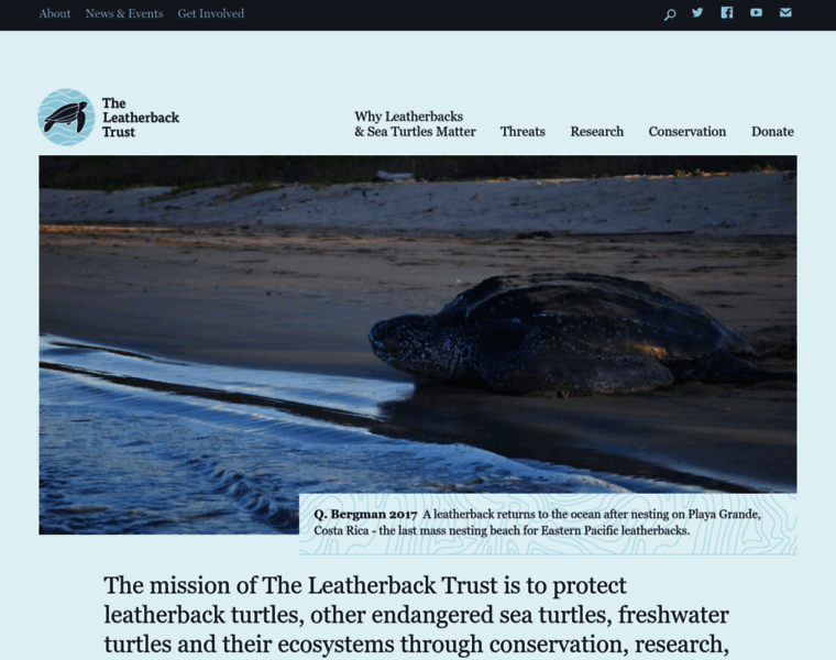 Leatherback.org thumbnail