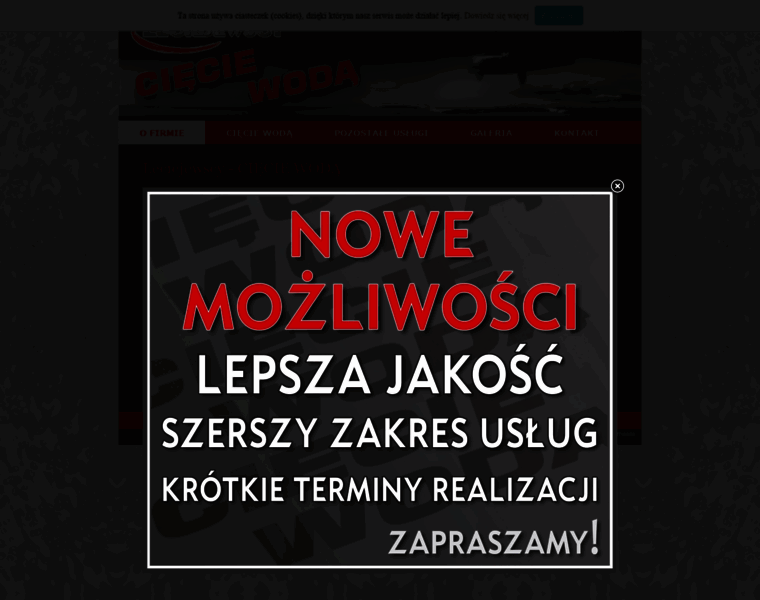 Leciejewscy.pl thumbnail