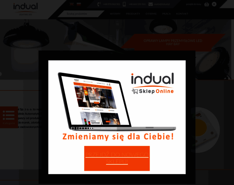Led-indual.pl thumbnail