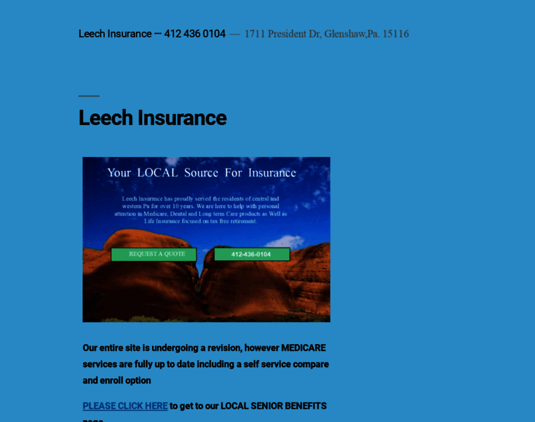 Leech-insurance.com thumbnail