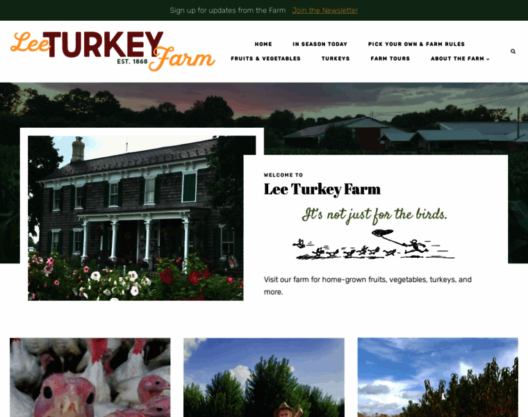 Leeturkeyfarm.com thumbnail