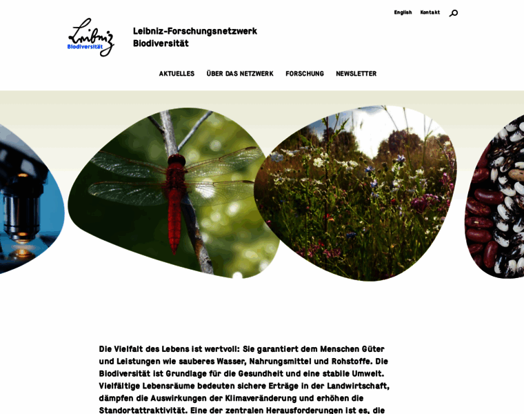 Leibniz-verbund-biodiversitaet.de thumbnail